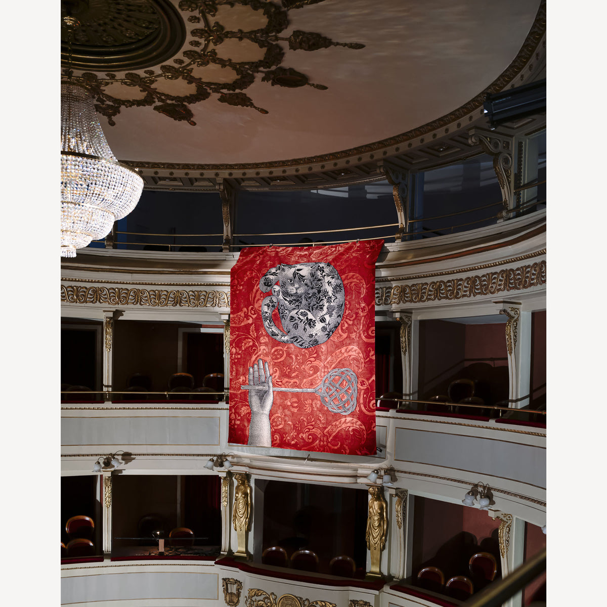 Rug Il Gattipanni
