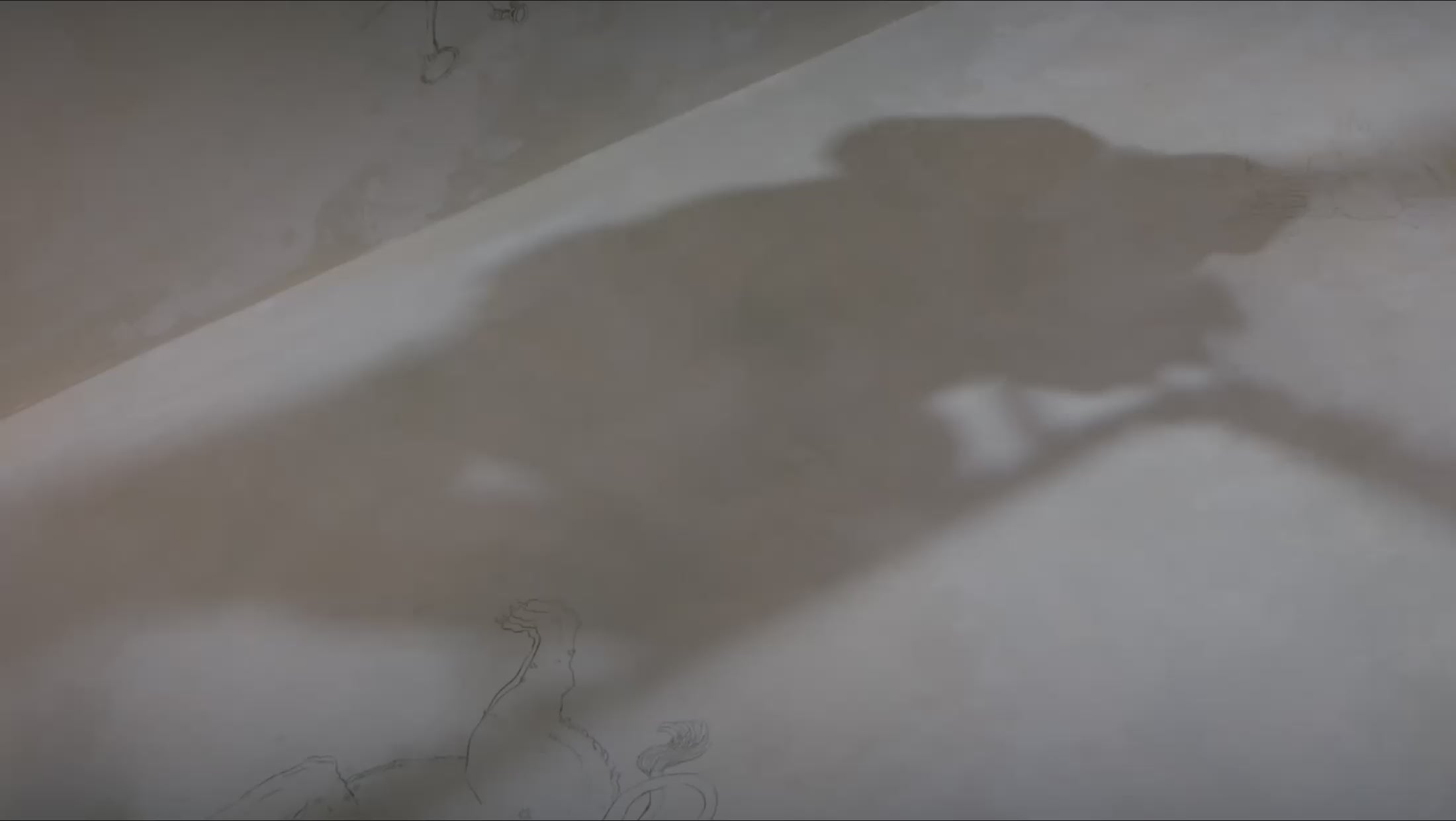 Charger la vidéo : 