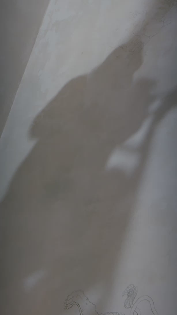 Charger la vidéo : 