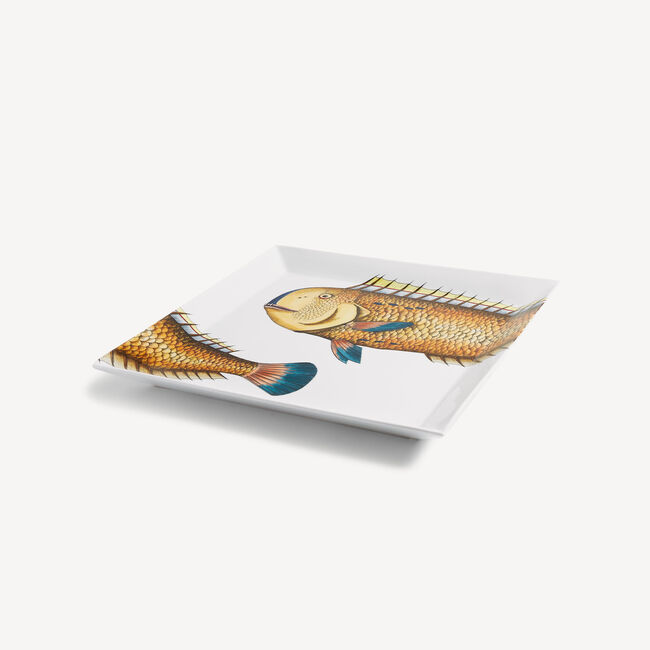 Shop Fornasetti Tray Pesce Lampuga In Multicolour