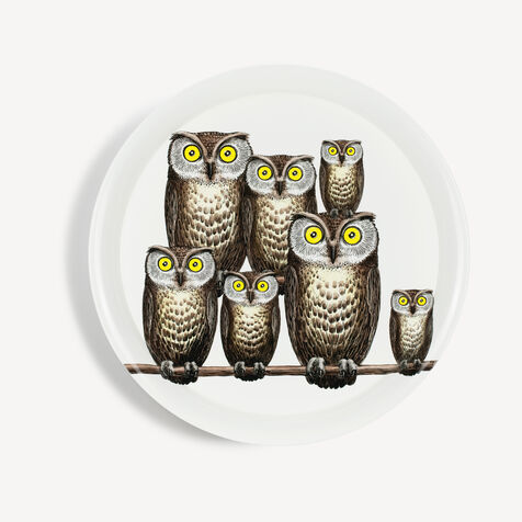 FORNASETTI Tray Civette Multicolour C32Y502FOR21BIA