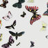 FORNASETTI Tavolino Farfalle Multicolour M17Y014TOFOR23MUL