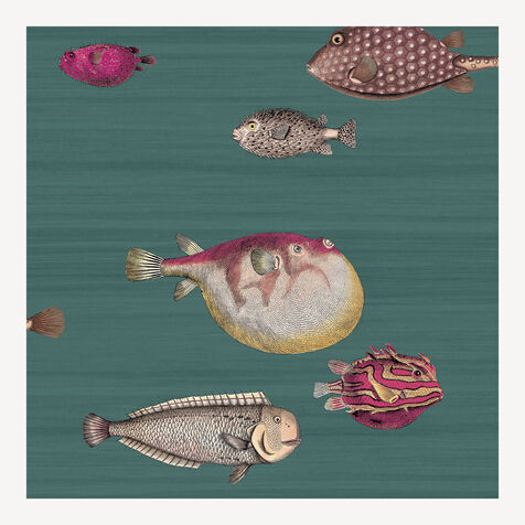 FORNASETTI Wallpaper Acquario Viridian ACQUARIOFOR22VER