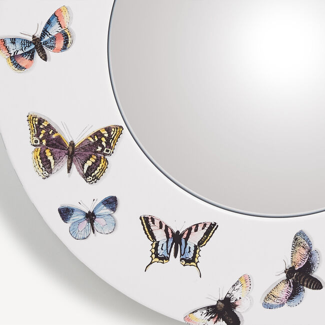 Shop Fornasetti Frame With Convex Mirror Farfalle In Multicolour