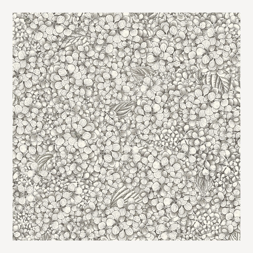 FORNASETTI Wallpaper Ortensia Black/White ORTENSFOR23BIA